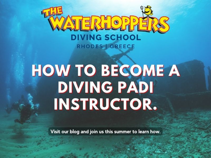 Simple Info About How Many Dives For A PADI Instructor